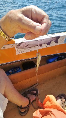 IMG_20170222_131942842
