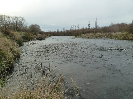 Looking downstream from where The Hirangi Stream meets the Tongariro river