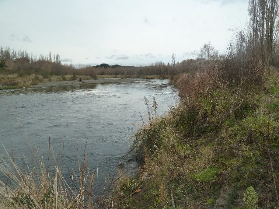 The Jones Pool