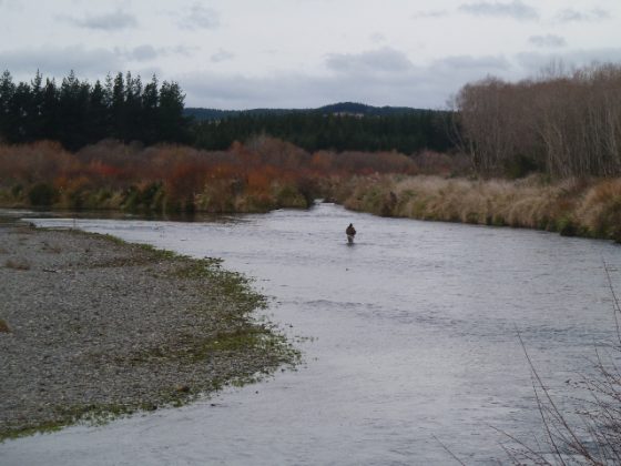 A lone angler at 3.00pm at the top of the Reed