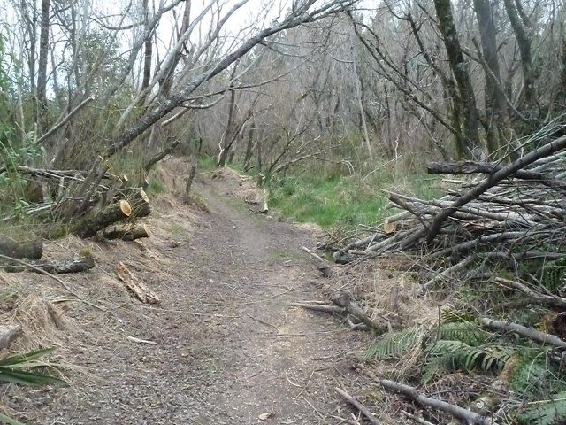 Track clearance