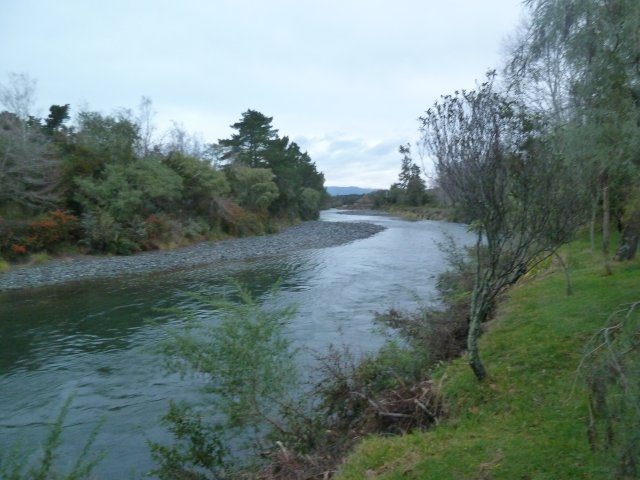 Breakfast Pool minus anglers at 4.00pm this evening
