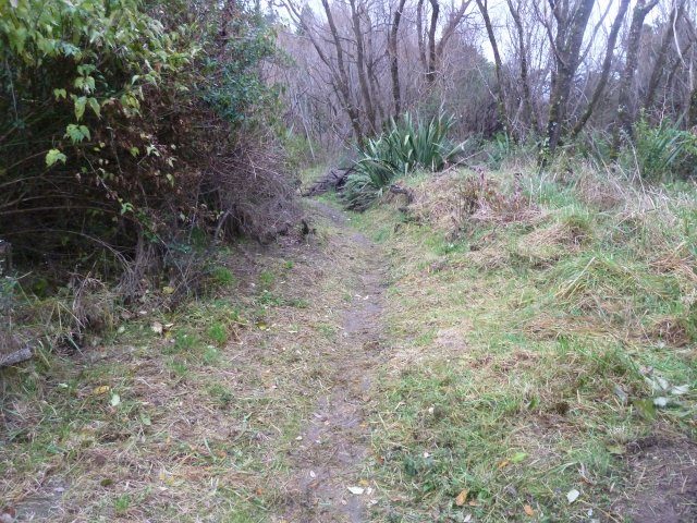 Track clearance