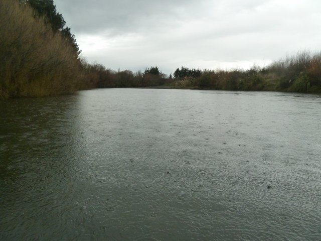 Upstream from the Reed 11th June 2014