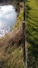 Track endangered
