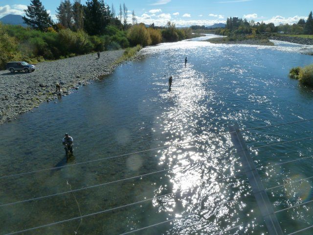 The Bridge Pool, productive and popular