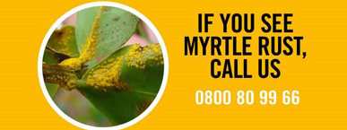 Myrtle Rust Call