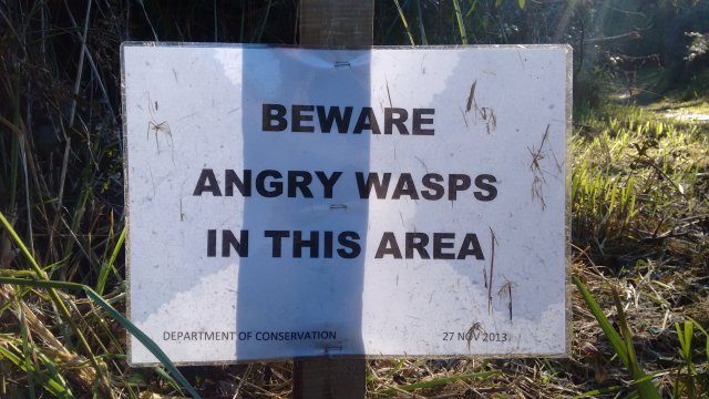 Warning 170514 track to the Reed