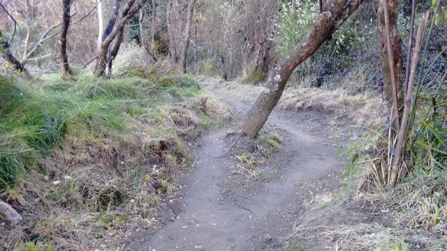 River tracks in excellent state