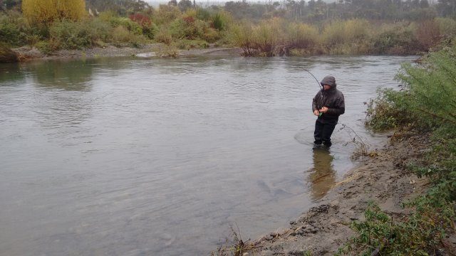 Richard Kemp playing his 3rd fish in an hour