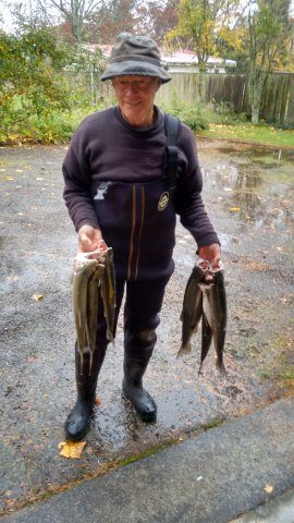 Can't complain at the size of the fish