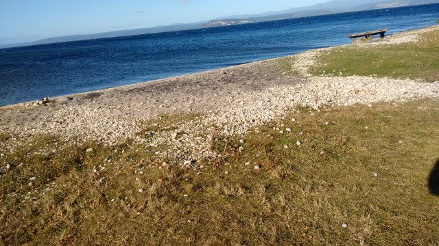 Kuratau beach erosion