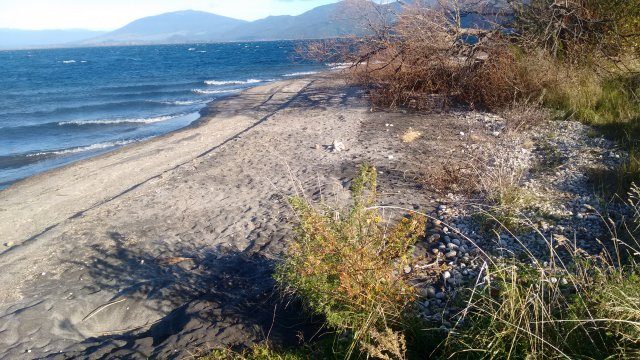 Kuratau beach erosion