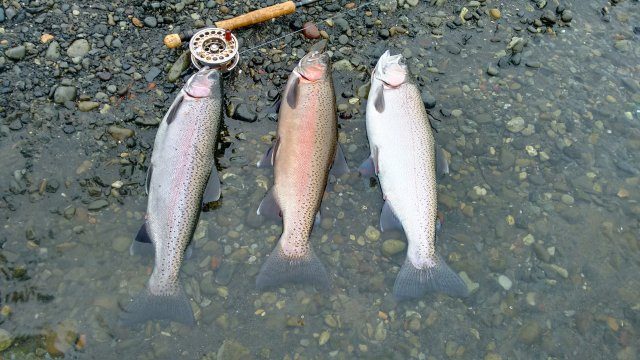 A good fishing day