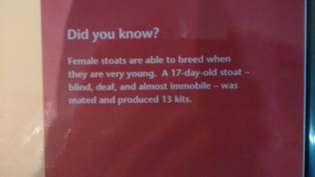 Breeding informationIMG_20160713_133737233