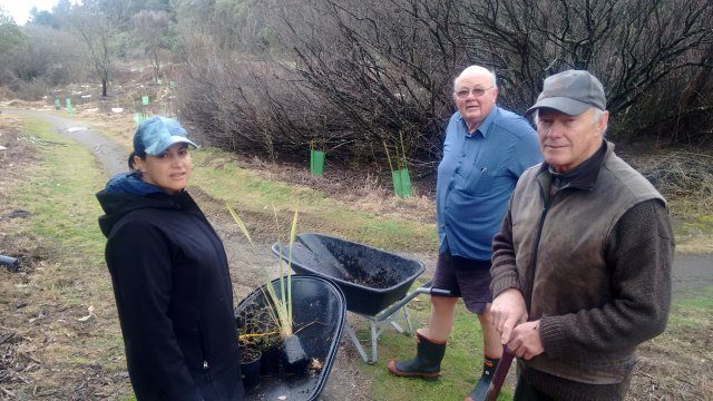Kiri Te Wano and Paul Green of Project Tongariro and Richard Kemp AFTR  involved in plantingIMG_20180605_095336745