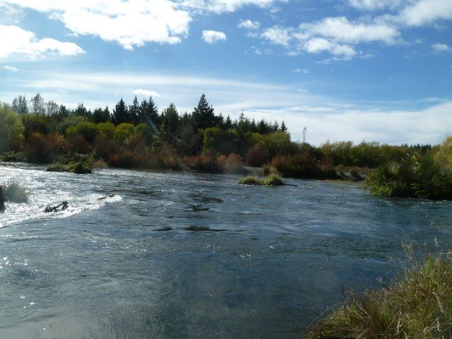 The only sign of spot spraying downstream