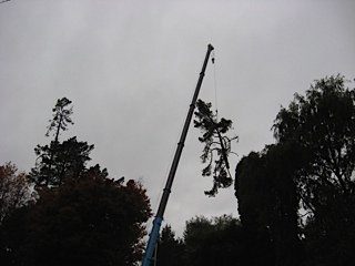 Crane lowered sections into the Major Jones carpark