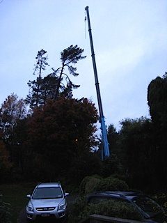 Large Crane hoisted tree feller to cut sections