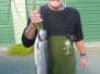 Fish Quality and Size