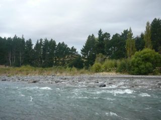 Start of plantation felling