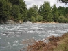 whitikau_stream
