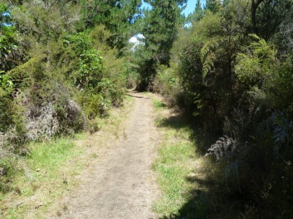 041 Main track excellent condition