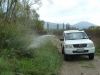 010 Willow Spraying continues 1.3.12