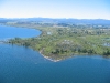 The Delta