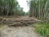 059 New Track from Reed to deLautours