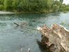 066 Log removal from the river is proving difficult