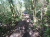Tongariro River Trail in DoC track