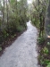 The Tongarir River Trail