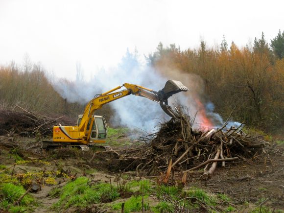 willow-burning-img_1915